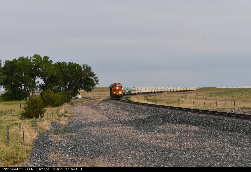 BNSF 8009